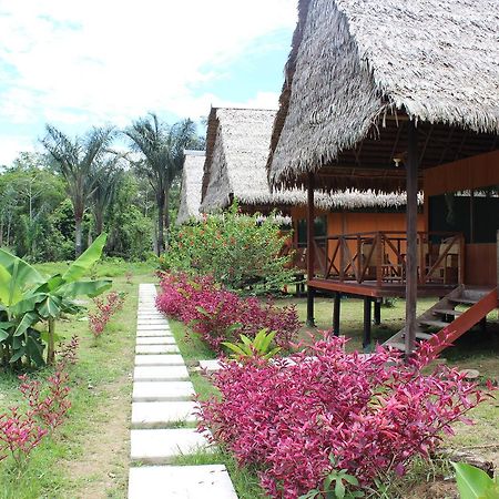 Cumaceba Curaka Inn San Pedro  Luaran gambar